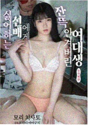 大鹏影院海外美剧